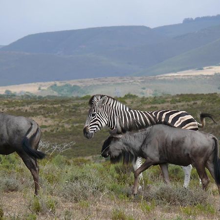 Nyaru Game Lodge Brandwag Buitenkant foto